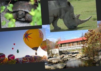 Collage of Digital Photography Samples by KMGrafix.com