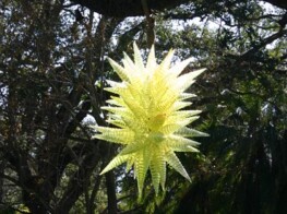 Chihuly Exhibit, Miami FL - Photography by Kevin McMahon KMGrafix.com