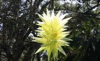 Chihuly Exhibit, Miami FL - Photography by Kevin McMahon KMGrafix.com