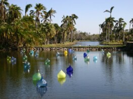 Fairchild Gardens Chihuly Exhibit - - Photography by Kevin McMahon KMGrafix.com