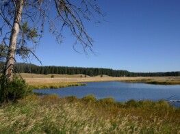 Yellowstone Lake - - Photography by Kevin McMahon KMGrafix.com