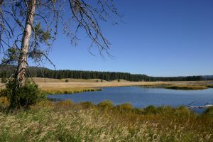 Yellowstone Lake - - Photography by Kevin McMahon KMGrafix.com