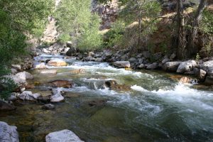 Wyoming river - Photography by Kevin McMahon KMGrafix.com