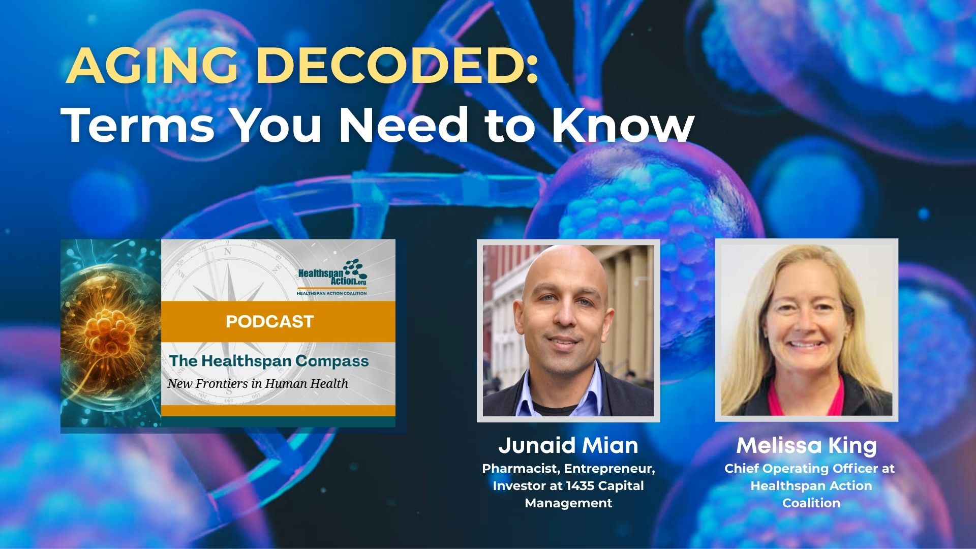 Healthspan Compass Episode 2-image Automobile Advertisement Design by KMGrafix