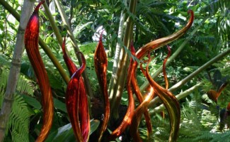 Chihuly Exhibit, Miami FL - Photography by Kevin McMahon KMGrafix.com